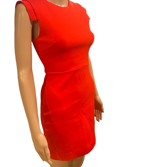 Stunning Babaton dress - Picture 4 of 9